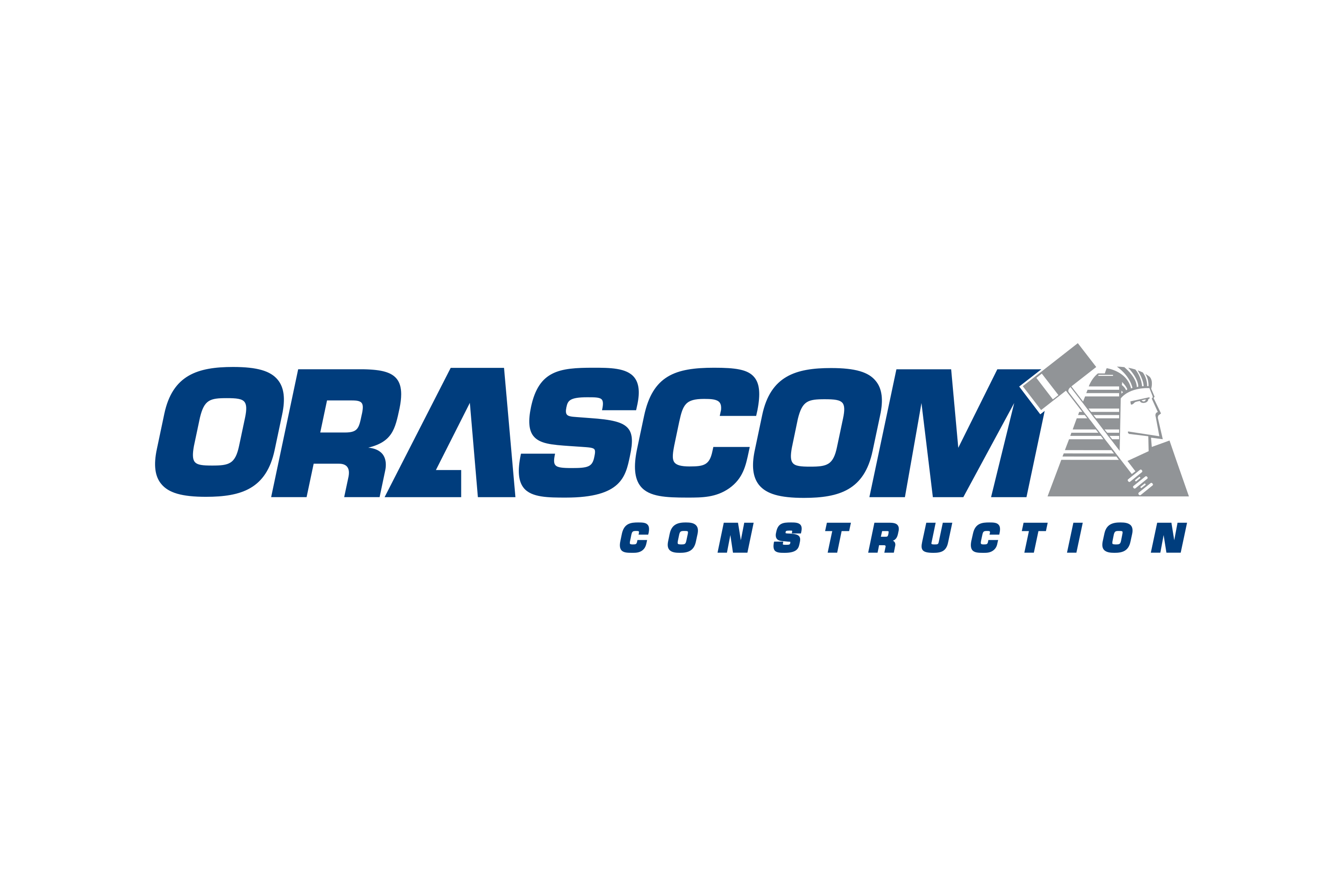 Partner Logo